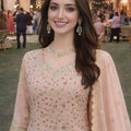 Wonderful Blush Pink Georgette Heavy Embroidered Pakistani Palazzo Suit