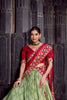 Elegant Pista Green Tussar Silk Lehenga Choli with Patola Print Dupatta