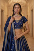 Luxurious Navy Blue Silk Embroidered Lehenga Choli with Peacock Motif Border and Designer Dupatta