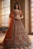 Royal Rust Orange Heavy Embroidered Lehenga Choli with Designer Net Dupatta for Wedding