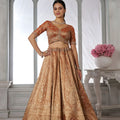 Stunning Rust Orange Kanjivaram Tissue Silk Designer Lehenga Choli with Designer Dupatta for Wedding