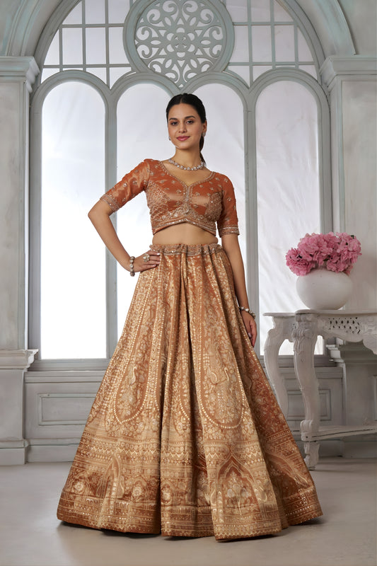 Stunning Rust Orange Kanjivaram Tissue Silk Designer Lehenga Choli with Designer Dupatta for Wedding