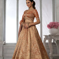 Stunning Rust Orange Kanjivaram Tissue Silk Designer Lehenga Choli with Designer Dupatta for Wedding