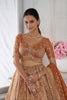 Stunning Rust Orange Kanjivaram Tissue Silk Designer Lehenga Choli with Designer Dupatta for Wedding