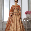 Stunning Rust Orange Kanjivaram Tissue Silk Designer Lehenga Choli with Designer Dupatta for Wedding