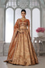 Stunning Rust Orange Kanjivaram Tissue Silk Designer Lehenga Choli with Designer Dupatta for Wedding