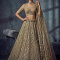 Premium Beige Net Lehenga Choli with Heavy Embroidery Work for Wedding