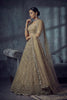 Premium Beige Net Lehenga Choli with Heavy Embroidery Work for Wedding