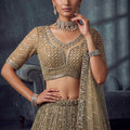 Premium Beige Net Lehenga Choli with Heavy Embroidery Work for Wedding