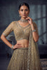 Premium Beige Net Lehenga Choli with Heavy Embroidery Work for Wedding