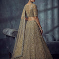 Premium Beige Net Lehenga Choli with Heavy Embroidery Work for Wedding