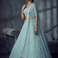 Stylish Sky Blue Net Lehenga Choli with Heavy Embroidery Work for Wedding
