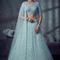 Stylish Sky Blue Net Lehenga Choli with Heavy Embroidery Work for Wedding