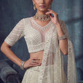 Elegant Off White Net Lehenga Choli with Heavy Embroidery Work for Wedding