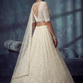 Elegant Off White Net Lehenga Choli with Heavy Embroidery Work for Wedding
