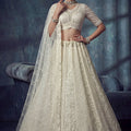 Elegant Off White Net Lehenga Choli with Heavy Embroidery Work for Wedding