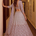 Luxury Pink Net Wedding Lehenga Choli with Embroidery Work for Women