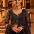 Stylish Black Net Wedding Lehenga Choli with Embroidery Work for Women