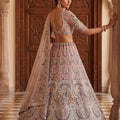 Elegant Dusty Pink Net Wedding Lehenga Choli with Embroidery Work for Women