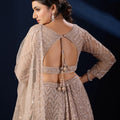 Luxurious Beige Net Designer Lehenga Choli with Heavy Embroidery Work and Dupatta for Women