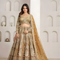 Royal Gold Designer Net Lehenga Choli with Embroidery Work and Matching Dupatta for Wedding