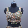 Olive Green Silk Printed Embroidered Designer Lehenga Choli Contrast Red Dupatta