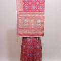 Red Patola Print Saree Elephant Motifs Traditional Saree 