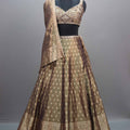 Olive Green Brown Banarasi Silk Lehenga Choli with Zari Work Dupatta