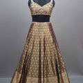 Olive Green Brown Banarasi Silk Lehenga Choli with Zari Work Dupatta
