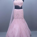 Elegant Light Pink Net  Mermaid Lehenga Choli Dupatta Designer 