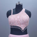 Elegant Light Pink Net  Mermaid Lehenga Choli Dupatta Designer
