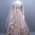 Beige Net Embroidered Pleated Lehenga Choli with Dupatta