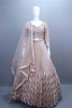 Beige Net Embroidered Pleated Lehenga Choli with Dupatta