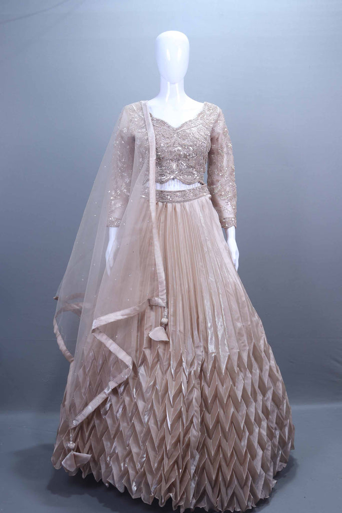 Beige Net Embroidered Pleated Lehenga Choli with Dupatta