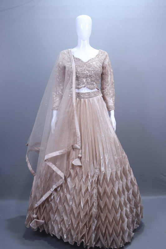 Beige Net Embroidered Pleated Lehenga Choli with Dupatta
