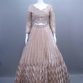 Beige Net Embroidered Pleated Lehenga Choli with Dupatta