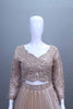 Beige Net Embroidered Pleated Lehenga Choli with Dupatta