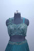 Green Embroidered Designer Lehenga Choli with Net Dupatta