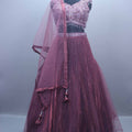 Wine Purple Embellished Net Designer Lehenga Choli with Dupatta