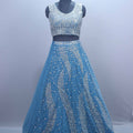 Sky Blue Mirror Work Designer Lehenga Choli with Net Dupatta