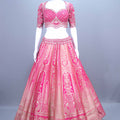 Hot Pink Banarasi Silk Embroidered Lehenga Choli with Dupatta