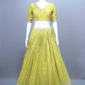 Lime Green Embroidered Silk Lehenga Choli with Dupatta