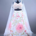 White Net Lehenga Choli with Beaded Cape Dupatta Party Wear