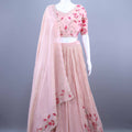 Peach Pink Embroidered Organza Lehenga Choli with Dupatta 