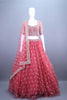 Designer Red Embroidered Net Lehenga Choli with Dupatta