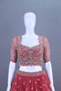 Designer Red Embroidered Net Lehenga Choli with Dupatta