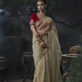 Stylish Beige Soft Tissue Silk Embroidery Sequin Thread Work Saree 