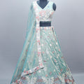 Pastel Blue Net Lehenga Choli with Dupatta Party Wear Lehenga