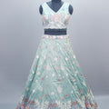 Cyan Green Net Lehenga Choli with Dupatta Party Wear Lehenga