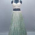 Pastel Green Lehenga Choli with Dupatta Party Wear